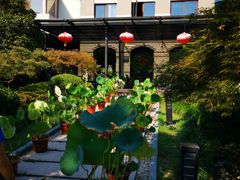 -荷风细雨·中国茶宴(碧云店)