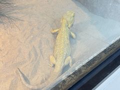 -朵云书院(滴水湖店)