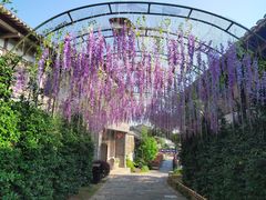 -茅山东方盐湖城景区