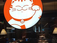 -佬肥猫(国华广场店)