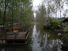 -合肥滨湖国家森林公园