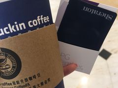 -成都天府丽都喜来登饭店