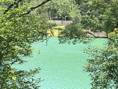 -桃花岭景区