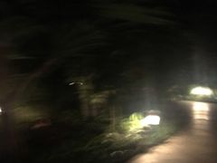 -南宫温泉水世界