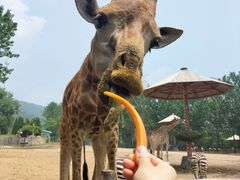 -大连森林动物园