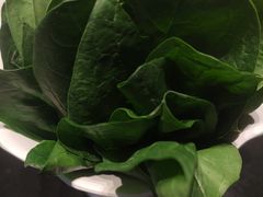 -南门四季铜锅涮肉(大屯·北苑店)