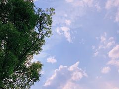 -瓷天下海丝谷