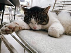 -UNI UNI(环亚凯瑟琳店)