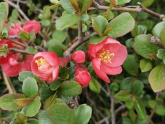 -白塘生态植物园