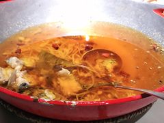 -雲蜀龙阁·金牌水煮鱼(方庄店)