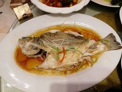 清蒸鲈鱼-北平小馆·烤鸭·家常菜(磨房北里店)
