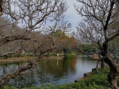 -晓港公园