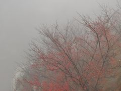 -崂山巨峰游览区