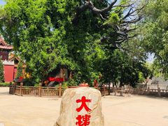 -大槐树寻根祭祖园