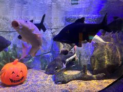 -沈阳海洋探索中心