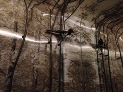 iphone_upload_pic-杭州逸酒店(西湖武林店)