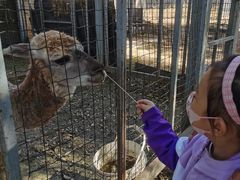 -意大利农场度假村