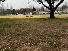-苏州上方山国家森林公园