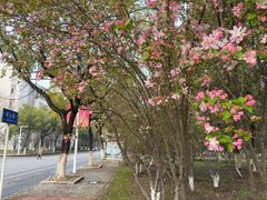 -江南大学(蠡湖校区)