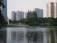 -浮庄
