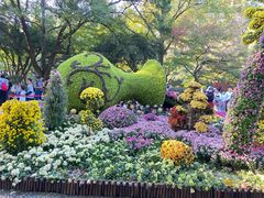 -杭州植物园