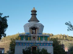 -塔尔寺-菩提树