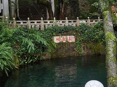 -蝴蝶泉公园