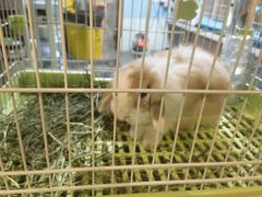 -雨林宠物医院 非犬猫异宠专科