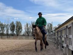 -北京群众马术培训基地