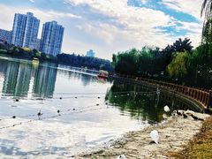 -黄兴公园