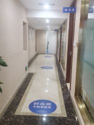 -碧莲盛·不剃发植发