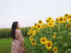 -映月湖中央公园