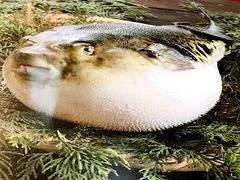 -玄品河豚(那覇國際通里之関)