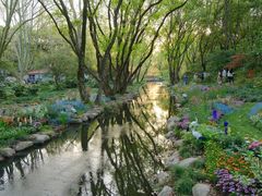 -上海共青森林公园