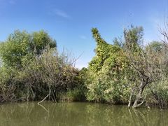 -处女泉风景名胜区