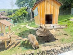 -杭州开元森泊度假乐园
