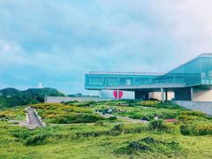 -涉地可支