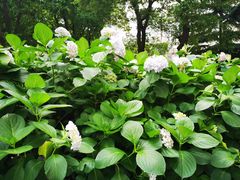 -山明水秀大饭店