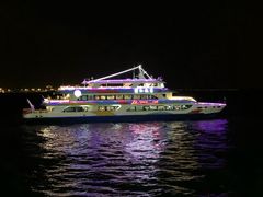 -演武大桥观景平台