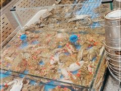-半岛听涛蒸汽海鲜自助(K11店)