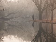 -上海共青森林公园