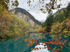 -如意林卡藏餐吧 (九寨沟店)