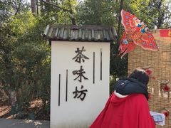 -天目湖山水园