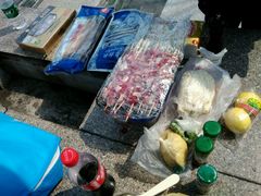 -吴淞炮台湾湿地森林公园烧烤区