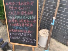 -南汇新场正宗水蜜桃采摘