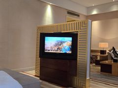 -电谷雅阁国际大酒店