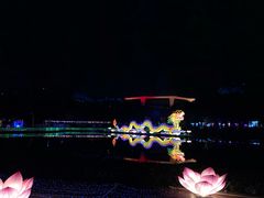 -飞凤山奥体公园