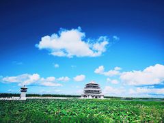 -呼兰河口湿地公园