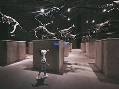 -世界恐龙谷景区