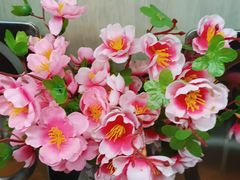 -来相会饺子·新辽菜(甘家口店)